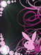 3.gif